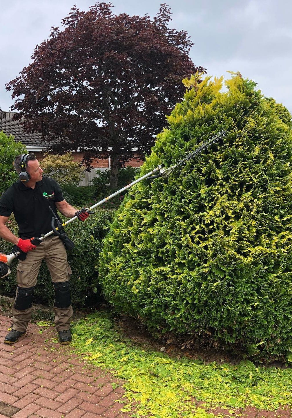 Worker from Copeland Garden Services cutting a small tree