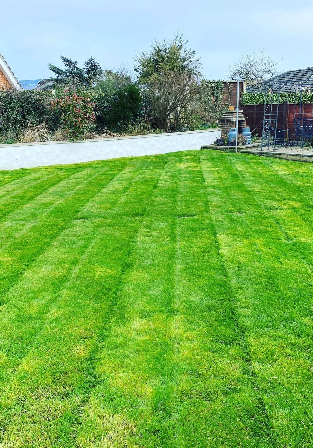 Fresh laid lawn in large back garden